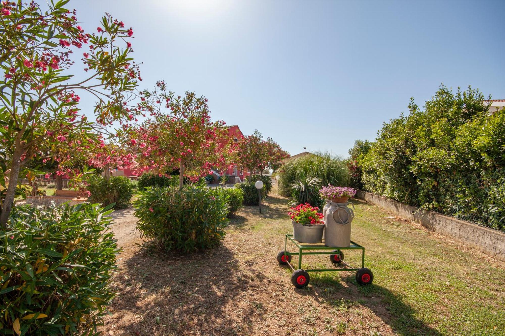 Agriturismo L'Istrice Di Gio Montalto di Castro Ngoại thất bức ảnh