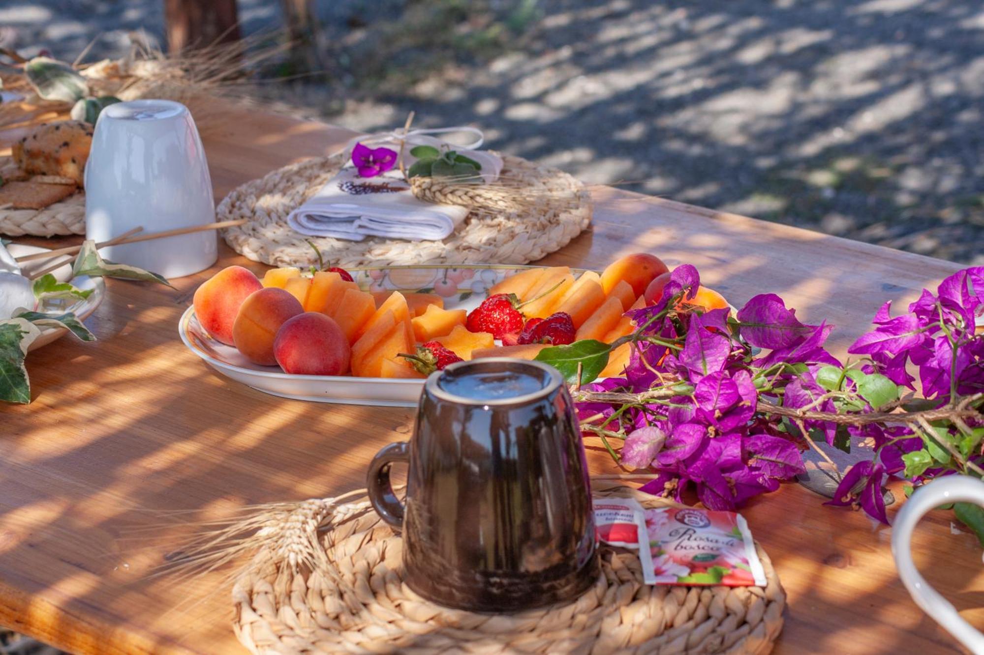 Agriturismo L'Istrice Di Gio Montalto di Castro Ngoại thất bức ảnh